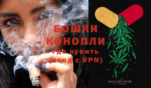 сатива Галич