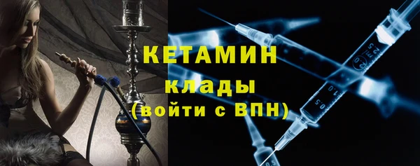 сатива Галич