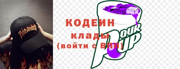 сатива Галич