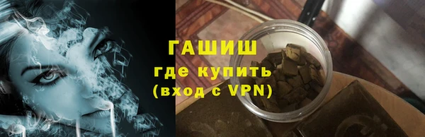 сатива Галич