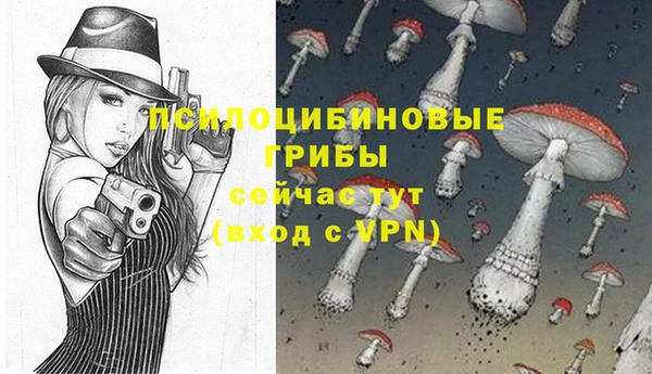 сатива Галич