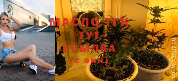сатива Галич