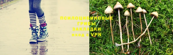 MDMA Premium VHQ Гвардейск