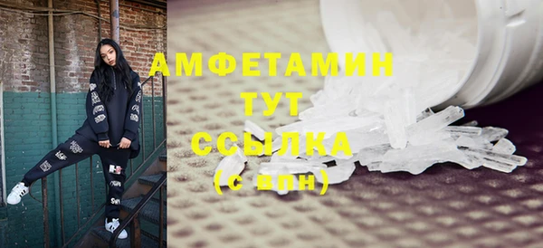 сатива Галич