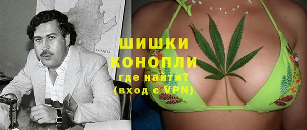 сатива Галич