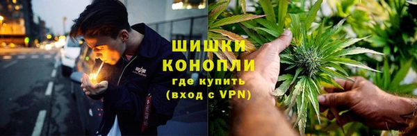 сатива Галич