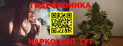индика Беслан