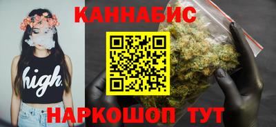 индика Беслан