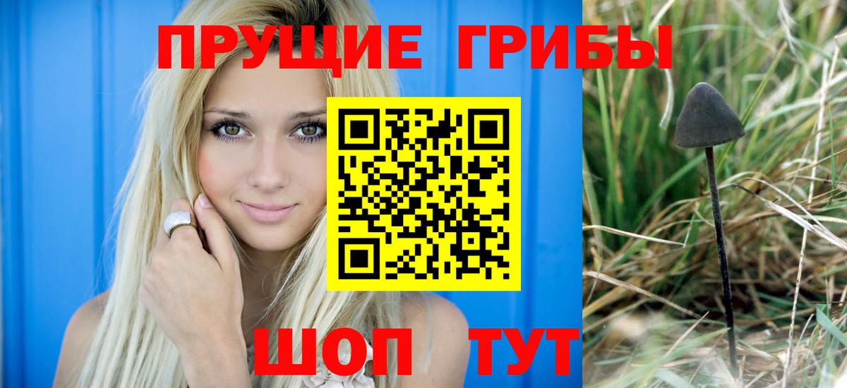 Псилоцибиновые грибы мухоморы Кашира