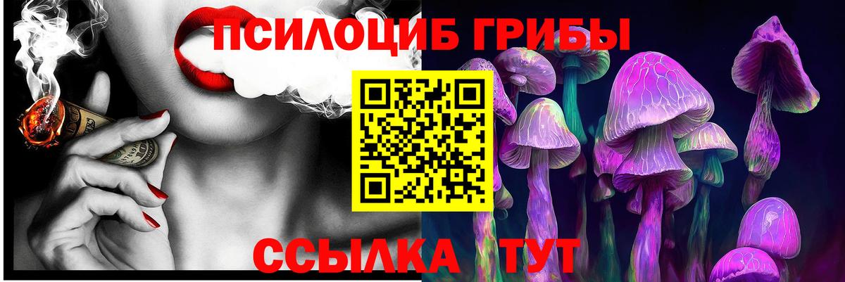 где найти наркотики  Вход с VPN  Кашира  Галлюциногенные грибы мухоморы 